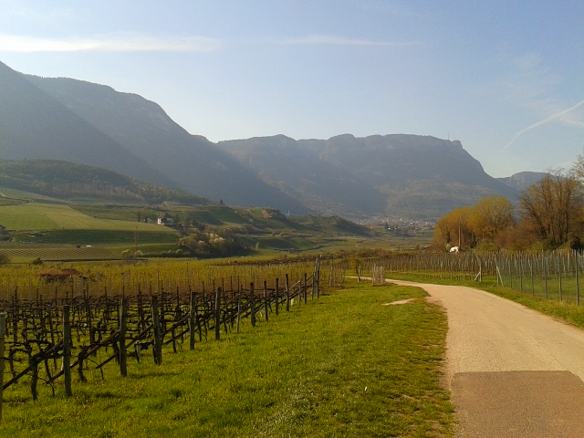 Kaltern Wanderung über die Weinriegel