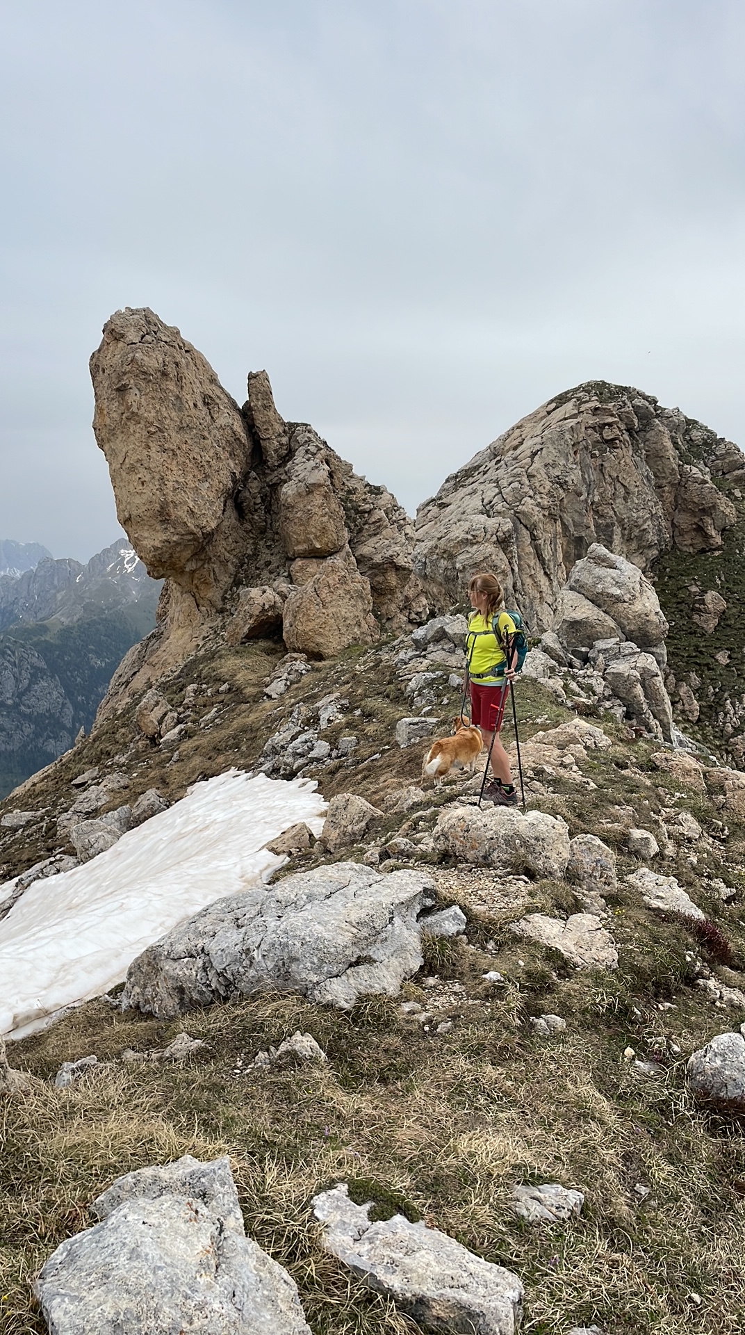 Cima Viezzena 2490m aussichtsreiche Bergwanderung von Bellamonte aus