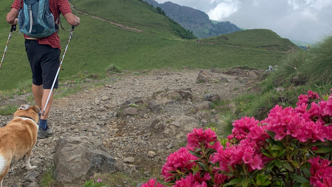 4 Tage im Fassatal : über 4000 Höhenmeter, atemberaubende Wanderungen